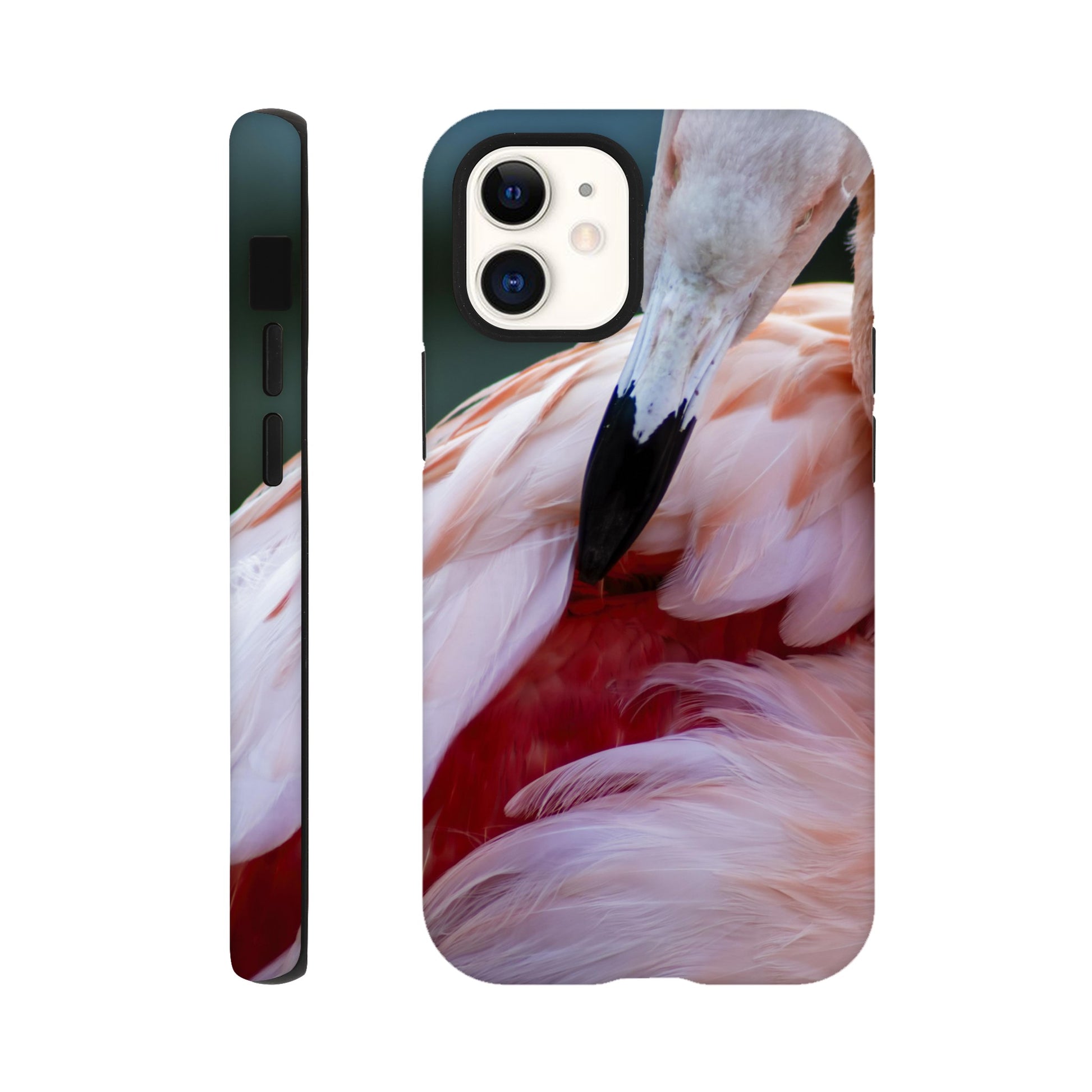 Phone Cases - Flamingo E M Brown Photography Phone Cases - Flamingo E M Brown Photography